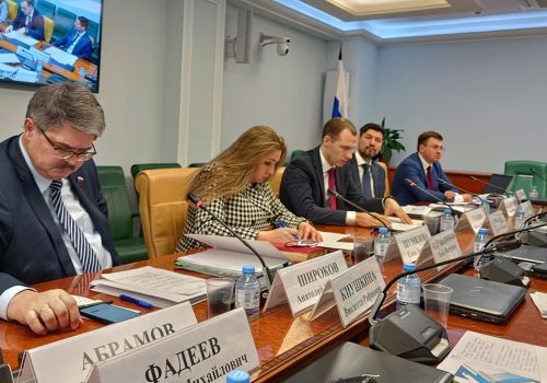 В Совете Федерации обсудили вопросы энергетической безопасности Дальнего Востока и Арктики