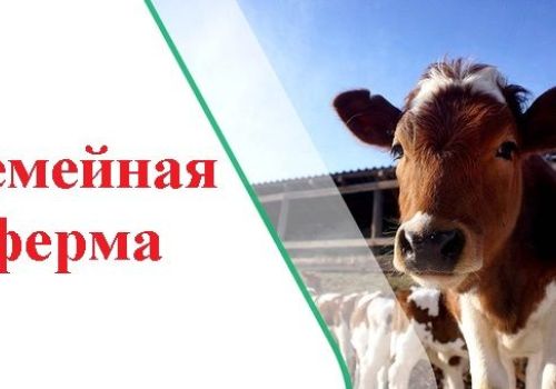 Информация об итогах конкурса по отбору семейных ферм в 2023 году