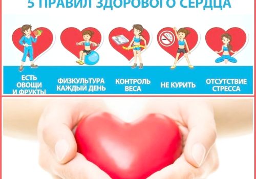 О ПРОФИЛАКТИКЕ СЕРДЕЧНО-СОСУДИСТЫХ ЗАБОЛЕВАНИЙ (12+)