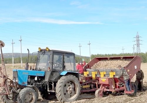 ГОРЯЧАЯ ПОРА ОЛЬСКИХ АГРАРИЕВ