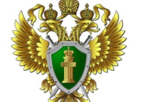 МЕРЫ БЕЗОПАСНОСТИ В ИНТЕРНЕТЕ 12+