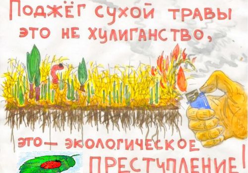 Уважаемые жители и гости Ольского района!  Руководители организаций и предприятий! (6+)