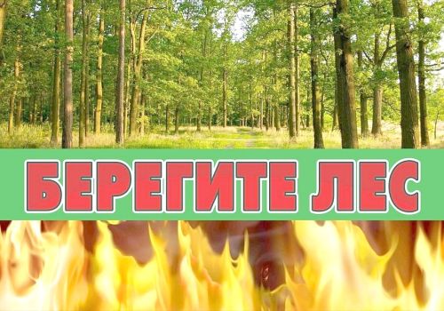 НЕ ДОПУСТИМ ЛЕСНЫЕ ПОЖАРЫ