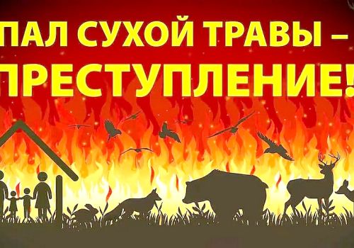 Уважаемые жители Ольского района!