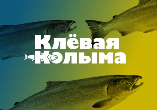 В Магаданской области из-за погодных условий перенесли фестиваль «Клёвая Колыма»
