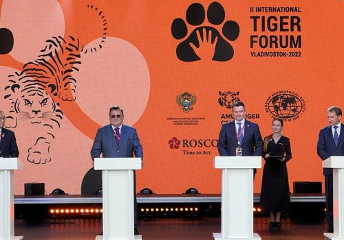 Состоялась церемония гашения марки, посвященной II Международному форуму по сохранению тигра