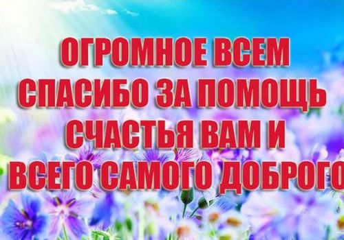 СПАСИБО ЗА ПОМОЩЬ (16+)