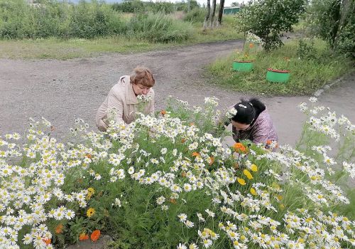 ПРОШЕЛ ОЧЕРЕДНОЙ СУББОТНИК