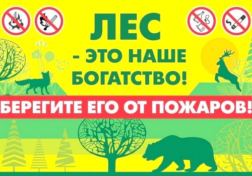 СОХРАНИМ ЛЕС ОТ ПОЖАРА
