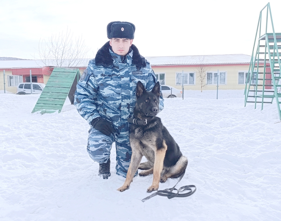 СЛУЖЕБНАЯ СОБАКА ПОМОГЛА ПОЛИЦЕЙСКИМ РАСКРЫТЬ УГОН АВТОМОБИЛЯ 1