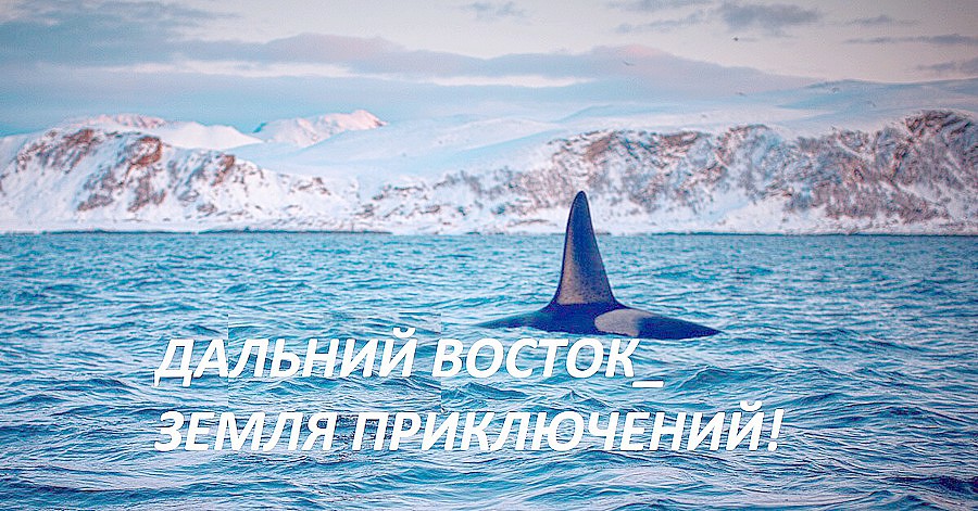 ДАЛЬНИЙ